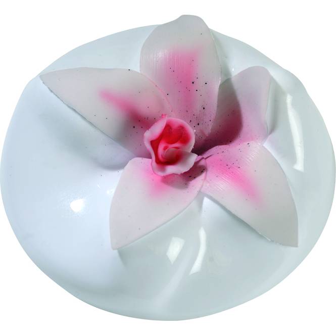 E-shop Formovač na kvetiny 150 × 55 mm Orchidea