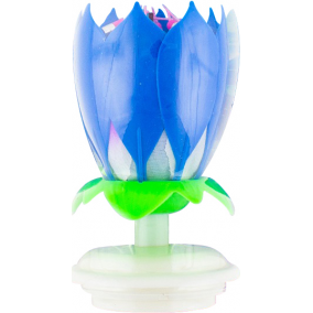 E-shop Dortová fontána květina hrající modrá